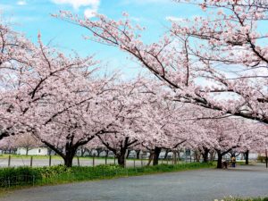 小田七丁目公園